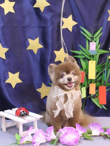 20230716クッキーくん